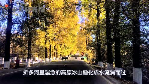 娱乐吃瓜君17集